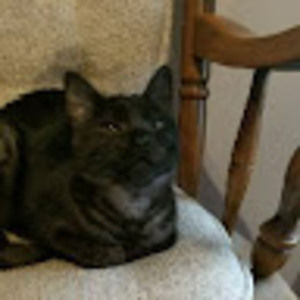 Meet your Posher, Louise